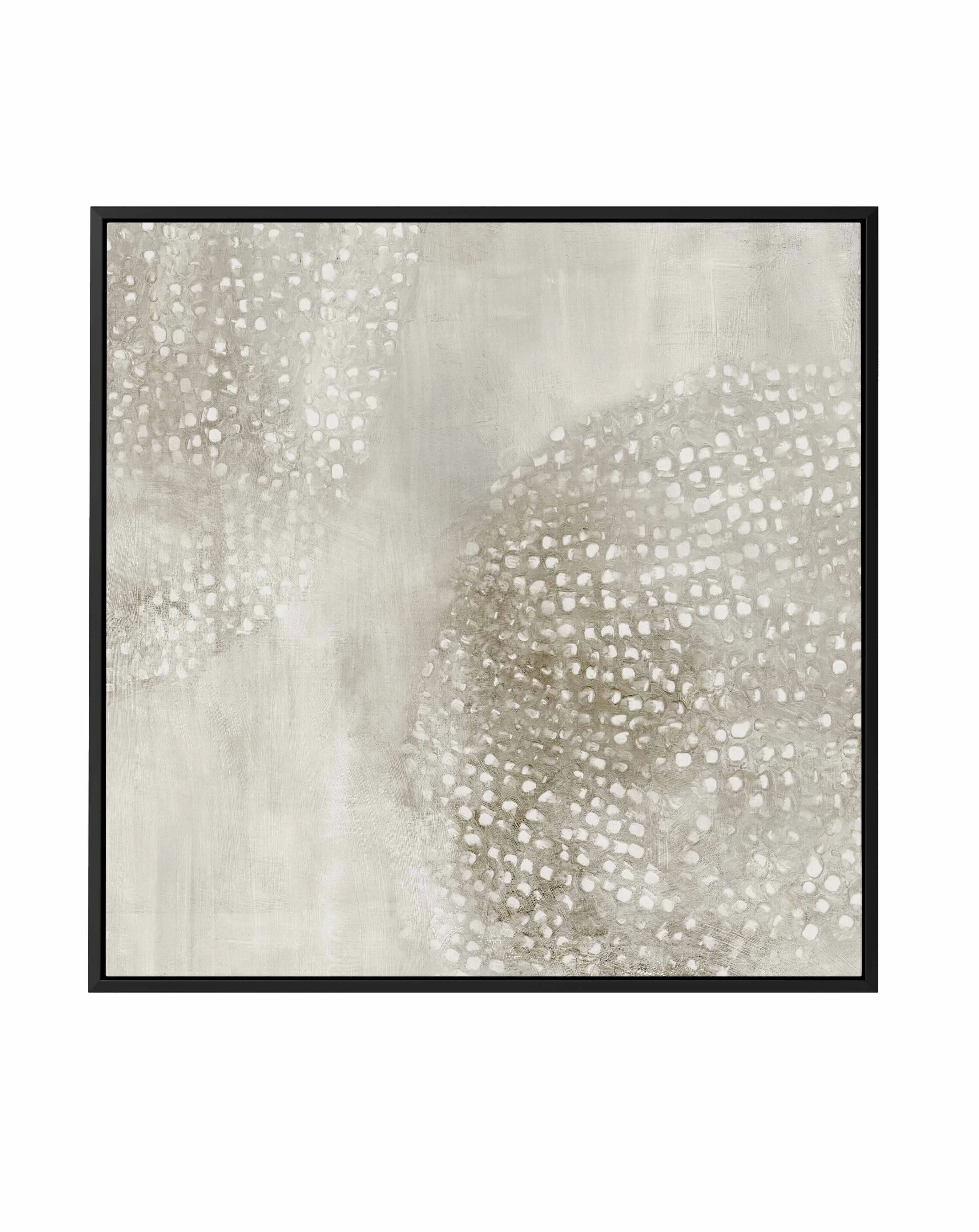 Alpine I SQ Framed Canvas Art Print