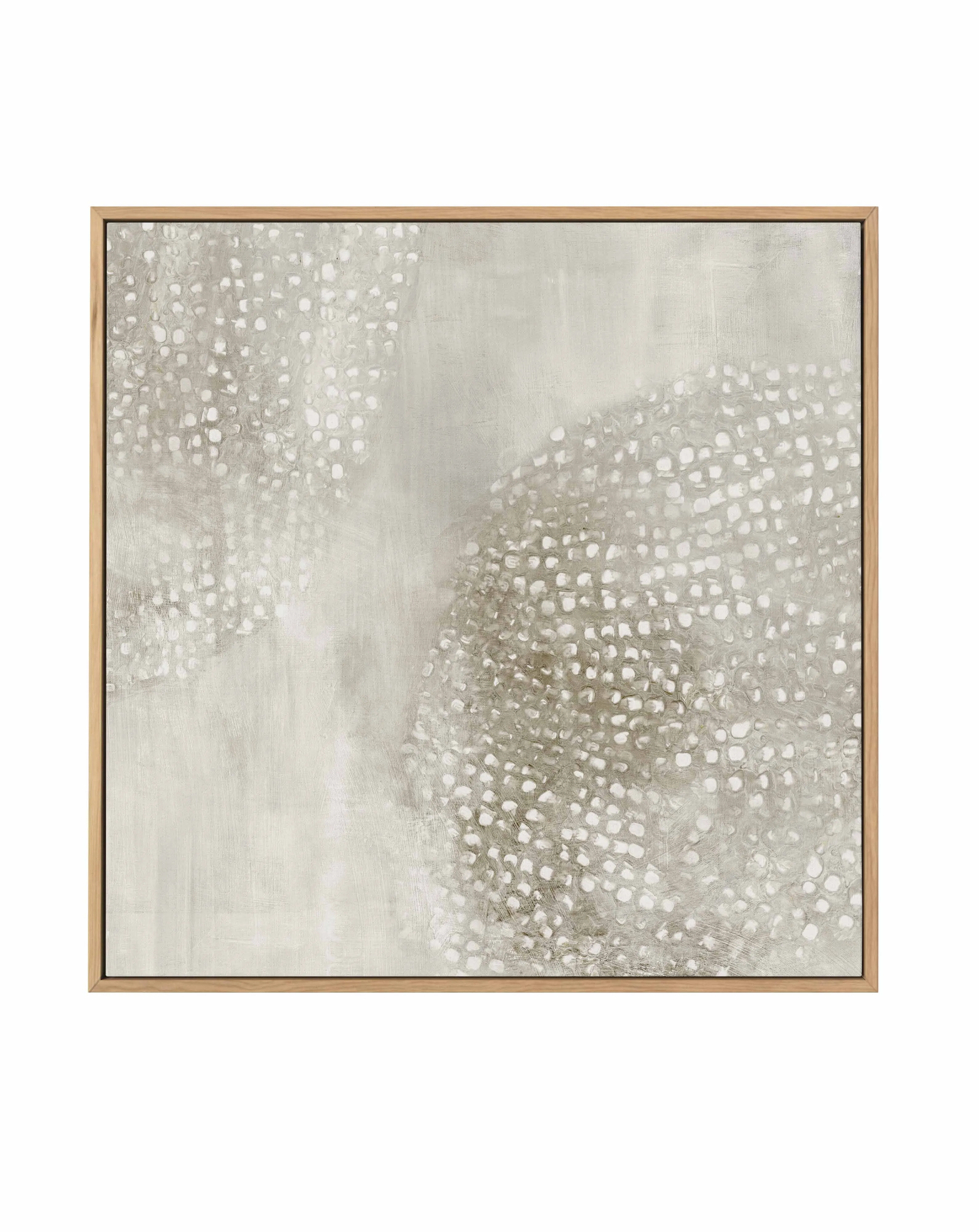 Alpine I SQ Framed Canvas Art Print