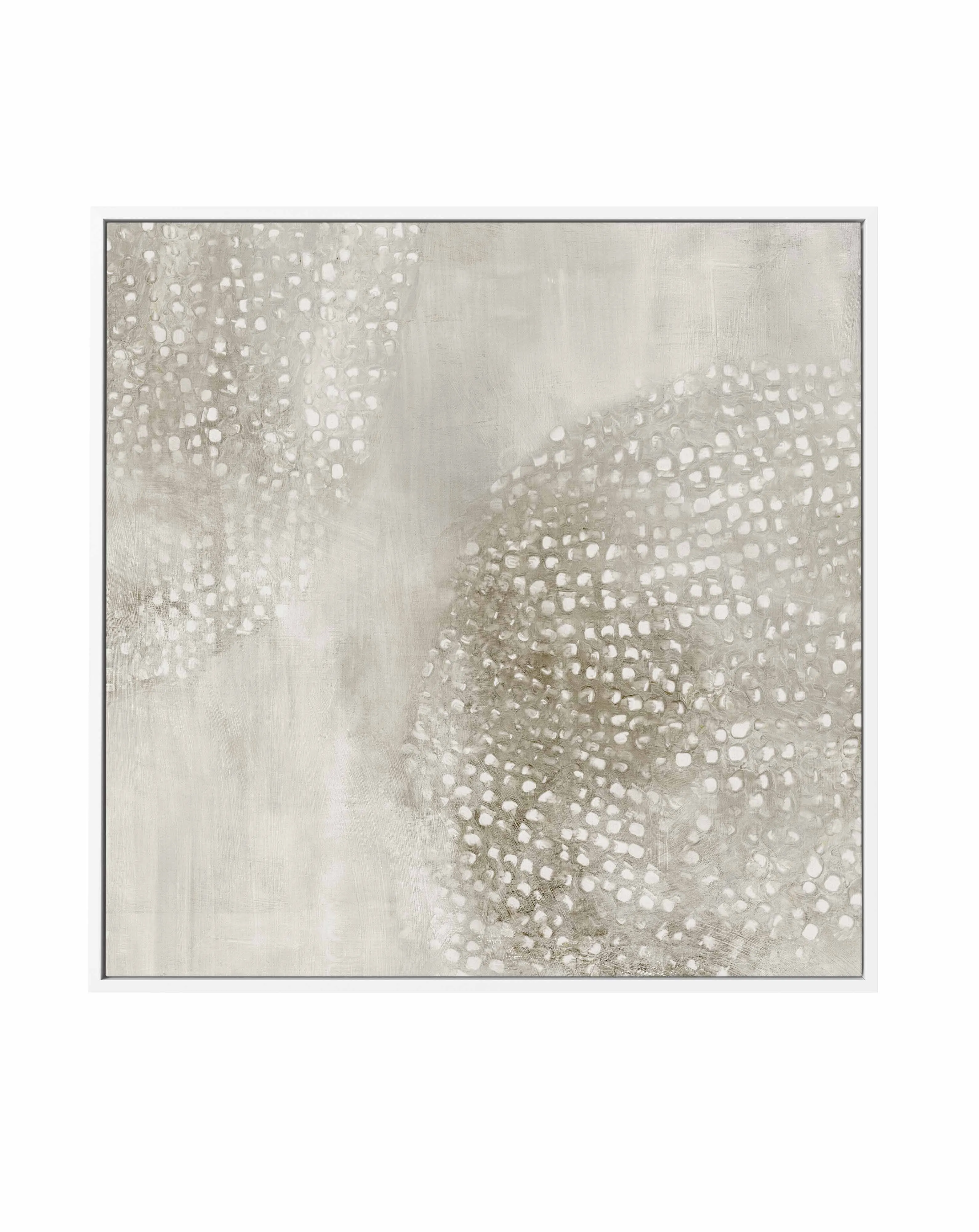 Alpine I SQ Framed Canvas Art Print