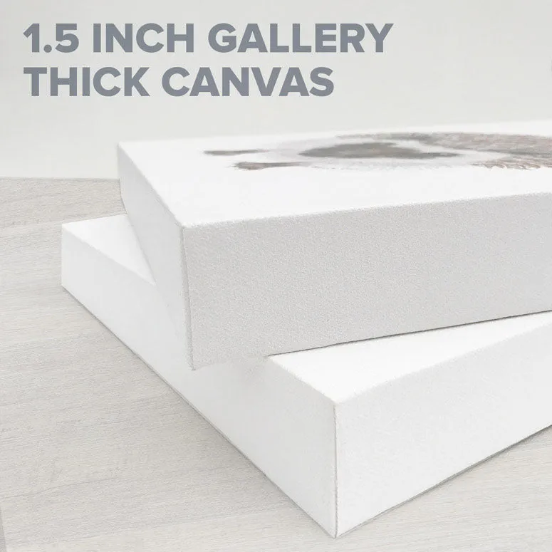 Baby Llama Trio Canvas Wall Art