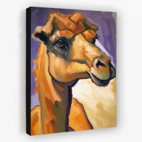 Camel Lilac
