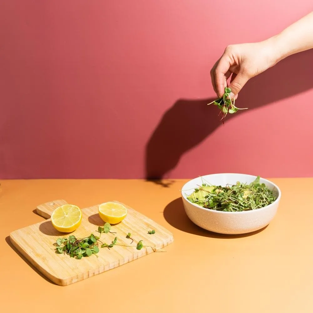 Flat Lay Instagram Backdrop - Make It Pop Bundle (56cm x 87cm)
