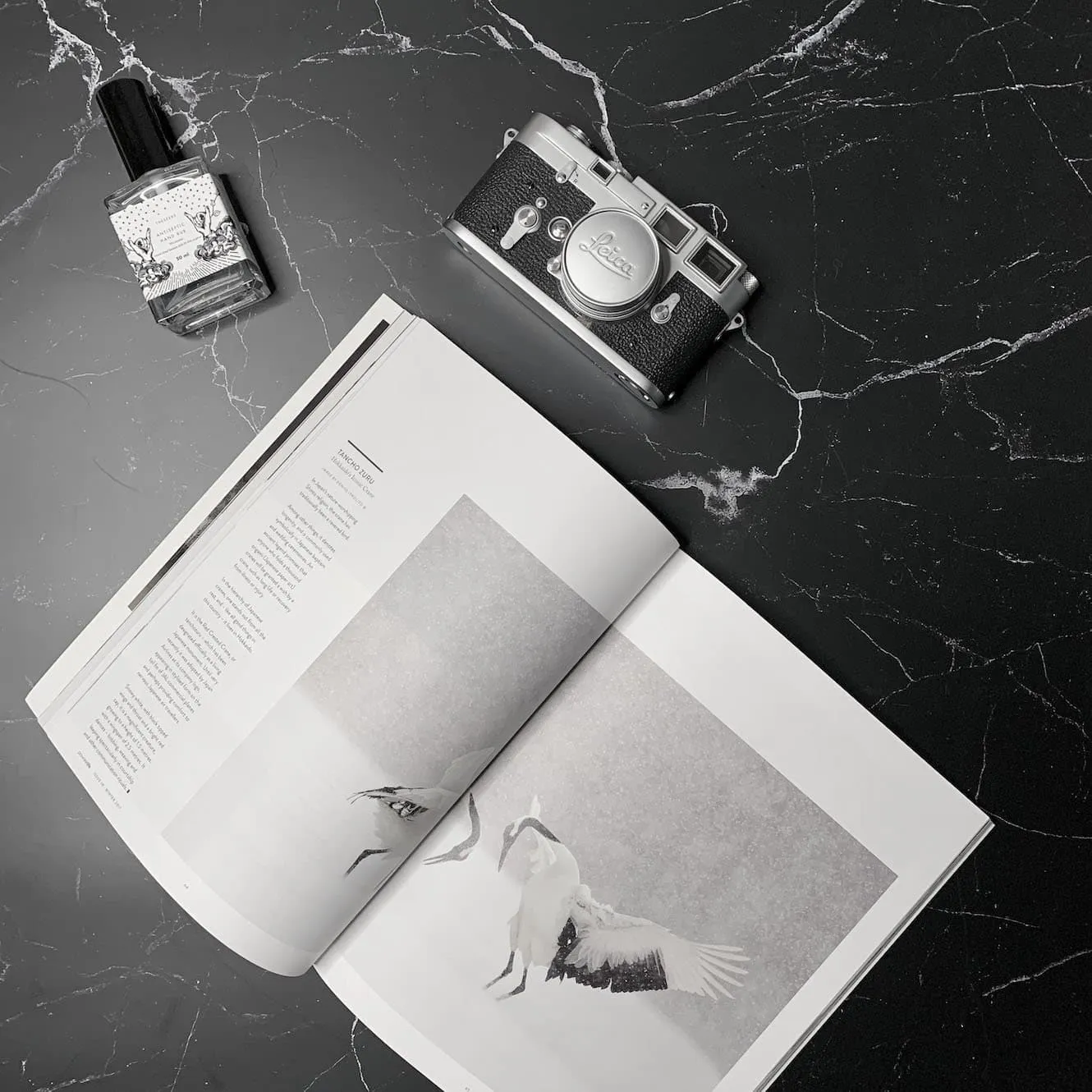 Flat Lay Instagram Backdrop - 'Paddington' Black Marble (56cm x 87cm)